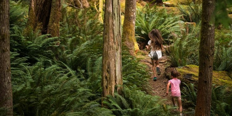 Two young girls scamper through a mossy forest.