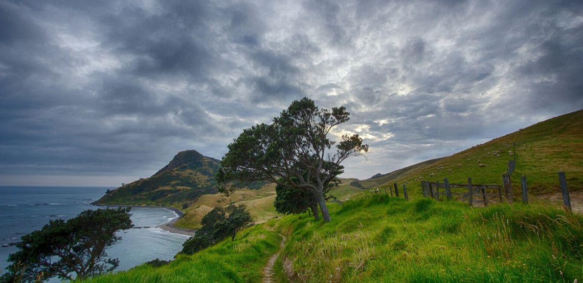 Landscape in New Zealand.