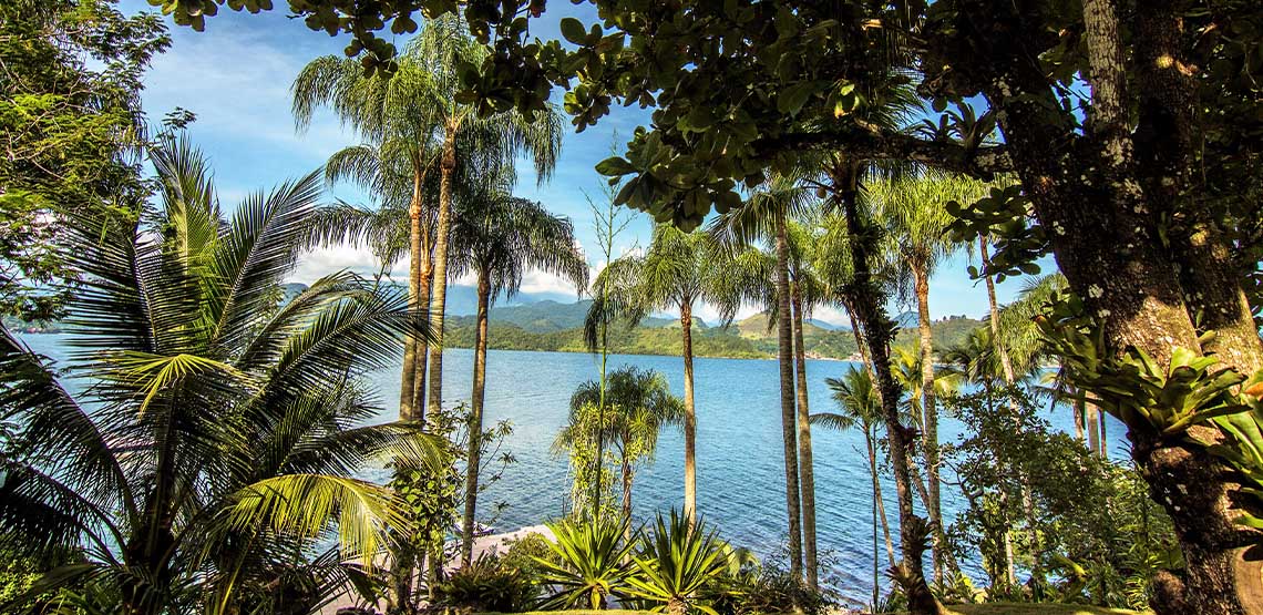 Rent an Island Where Should You Rent an Island in the World?