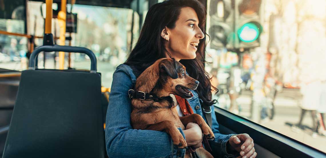 A woman holding a dog while riding on a bus.