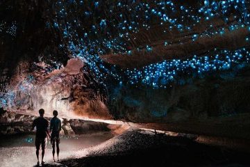 Two people standing in the Waitomo Glowworm Caves.