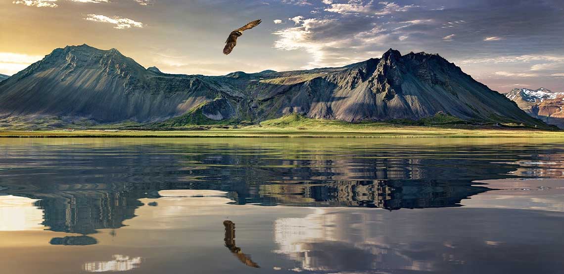A lake by a mountain with a bird flying over it.