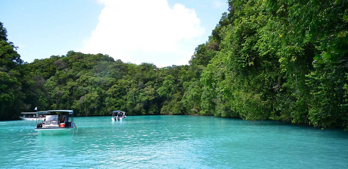 Turquoise blue water surrounded by islands covered in trees.